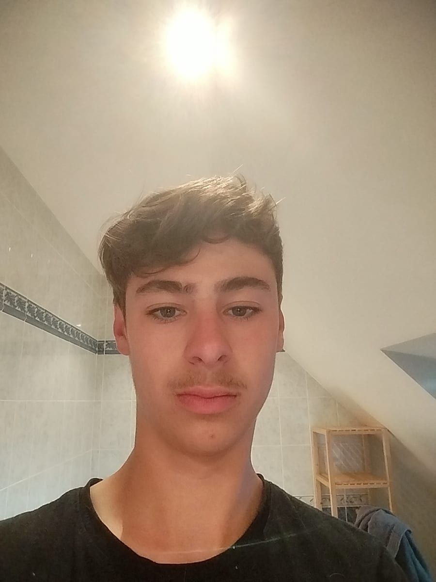 Profil de Halem
