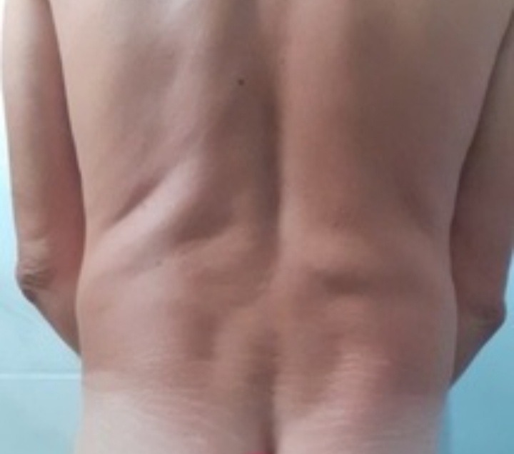 Profil de Iba